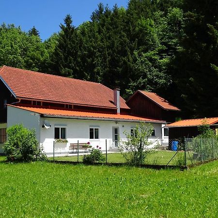 Haus Im Gruenen - Gmundennaehe Pinsdorf Eksteriør bilde