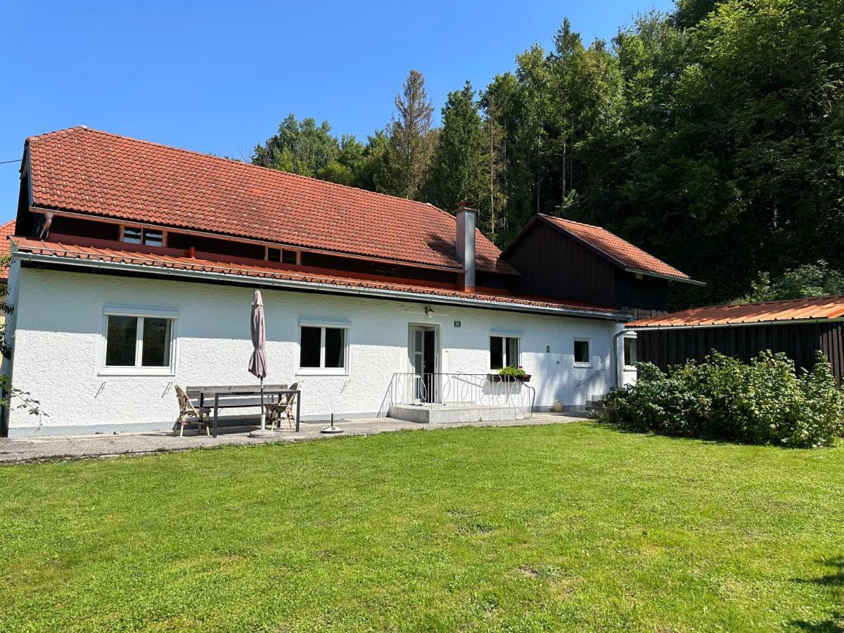 Haus Im Gruenen - Gmundennaehe Pinsdorf Eksteriør bilde